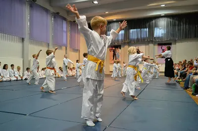 Yoshinkan Aikido Seidokan Dojo - sztuki walki dla dzieci i dorosłych